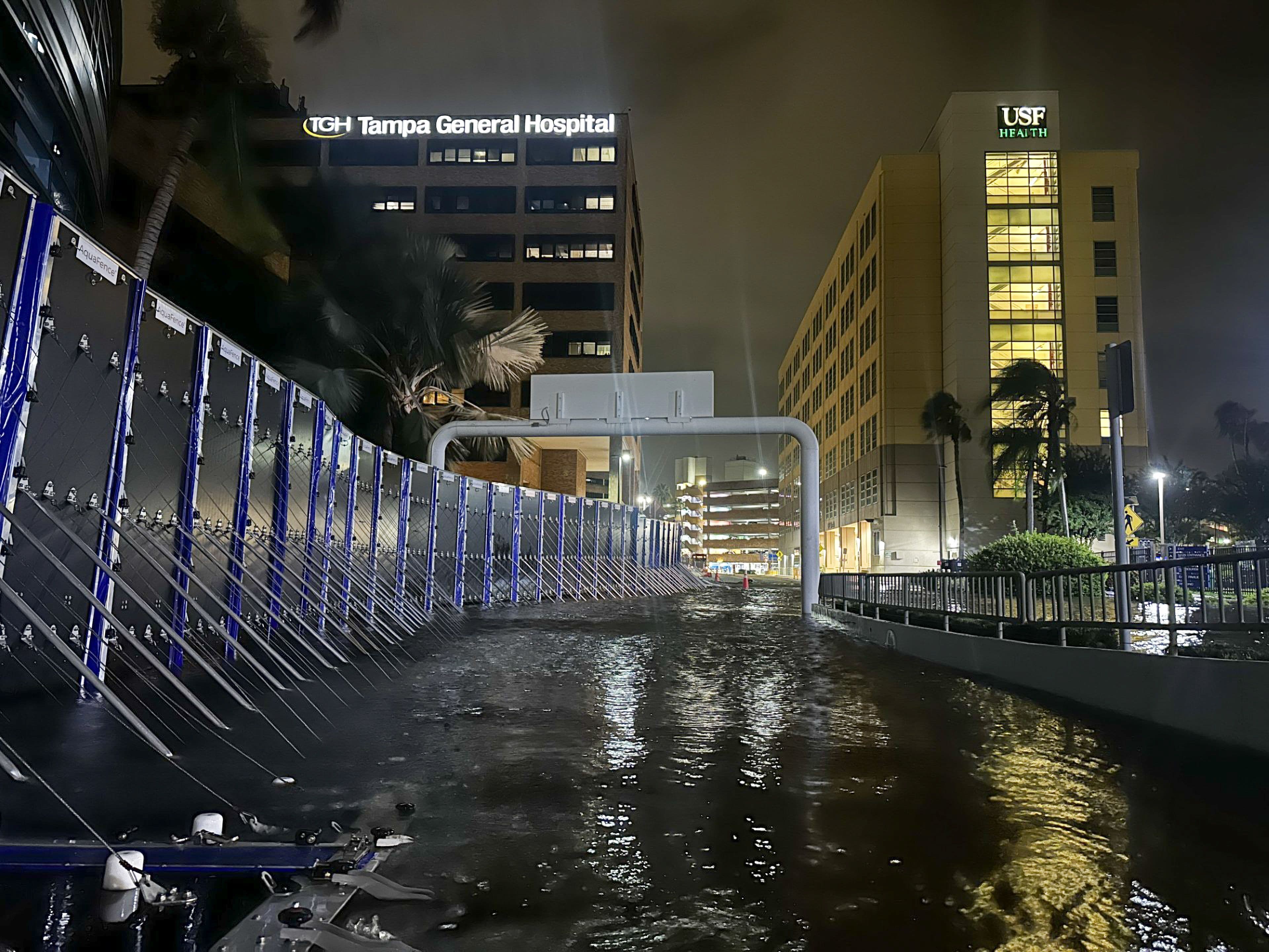 Image: Tampa General Hospital